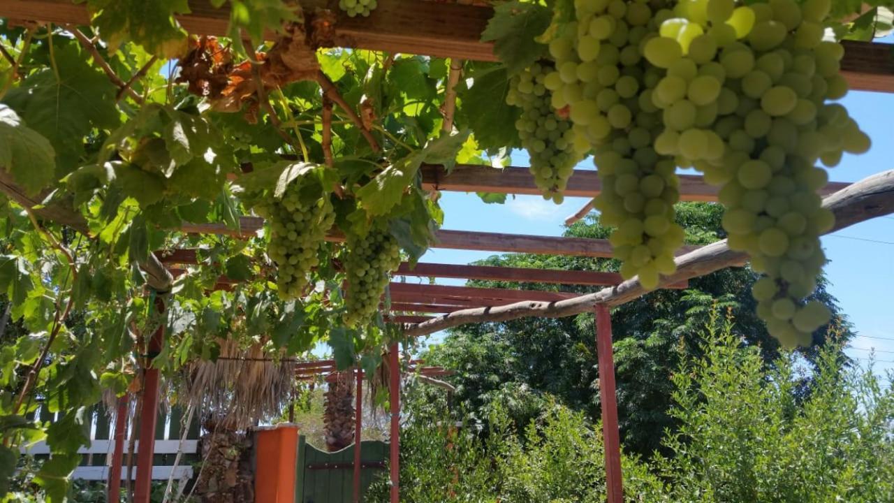 Posada Tres Cuevas Valle de Guadalupe Εξωτερικό φωτογραφία