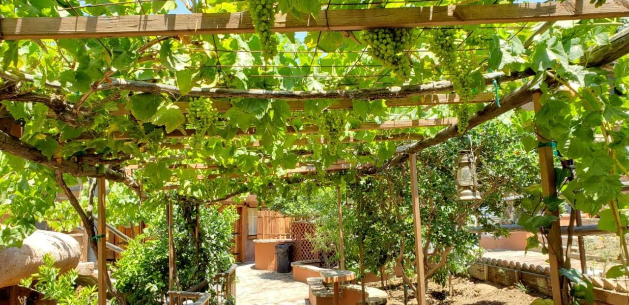 Posada Tres Cuevas Valle de Guadalupe Εξωτερικό φωτογραφία
